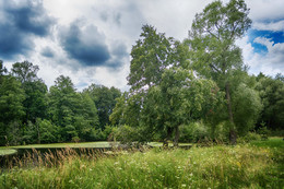 &nbsp; / http://www.mglin-krai.ru/dvoryanskie-usadby/325-razrytoe-rodovoe-selo-grafov-gudovichej