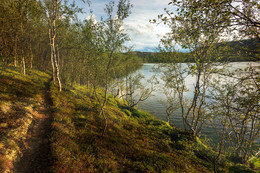 At the pond / ***