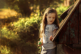 Evening in the village ... / ***