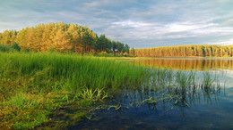 Evening on the lake / ***