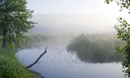Fogs / ***