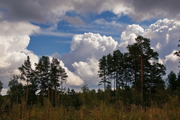 ***The clouds / ***
