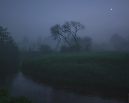 &nbsp; / 550d + 15-85mm