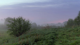 dominated by fog / ***