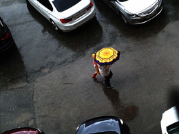 Rain / DSCF9335-C000-100(80)+C