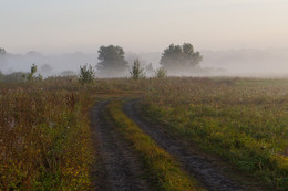 Morgennebel / ***