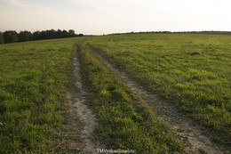 Roads / ***