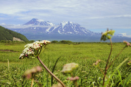 Kamchatka / ***