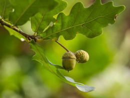 signs of autumn / °°°