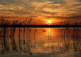 Sunset / ***