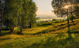 At the edge of forest / ***