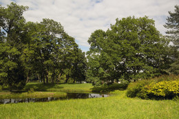 In the summer park / ***