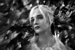 Impression ... / ***