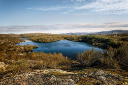 September Study / ***