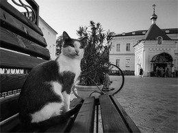 No name / ***