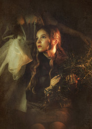 Dreams / ***