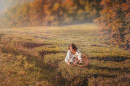 Autumn / ***
