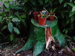 &nbsp; / 2018-08-31-28-C00-086(80)+C