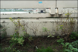 &nbsp; / [img]https://farm2.staticflickr.com/1845/30731341978_561ee4fdb3_o.jpg[/img]