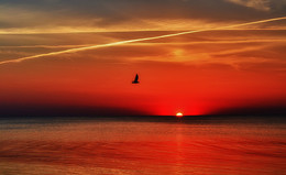 Burning in the flames of the sunset ... / ***