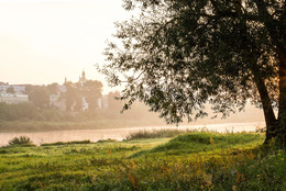 Foggy morning / ***