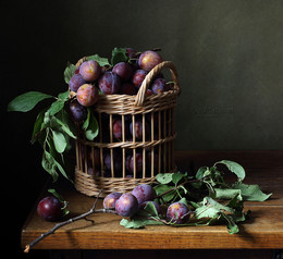 plums / ***