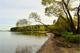 Autumn beach / ***