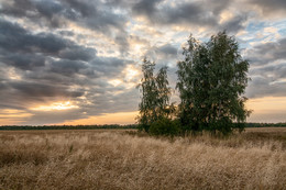 *Autumn sketch** / ***