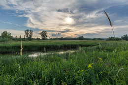 Evening / ***
