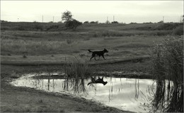 Reflection / ***