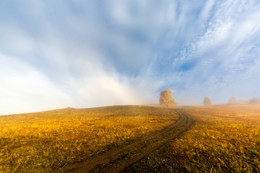 Autumn road / ***