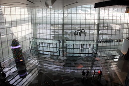 There is an exit! / ***