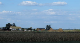 The farm / ***