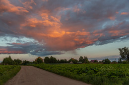 rustic evening / ***