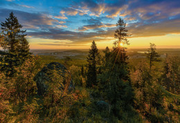 Autumn landscape / ***