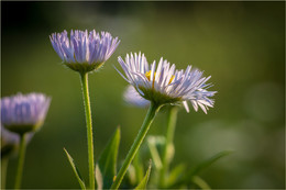 colors of the sunset / ***