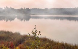 Misty evening / ***