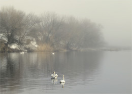 On the pond / ***