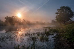 Dawn of the pond / ***