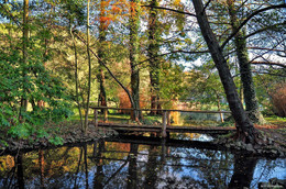 &nbsp; / -----------