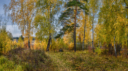 Autumn ... / ...