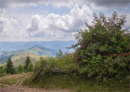 Carpathian Sketches / ***