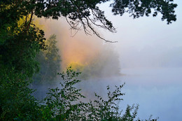 Misty morning .... / ***