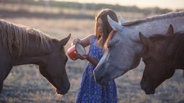 Village history / ***