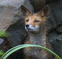 Anxious morning / ***