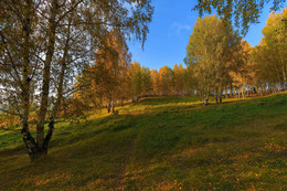 Birch Grove / ***