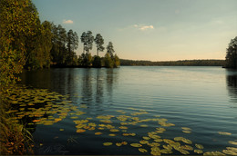 Autumn sadness / ***