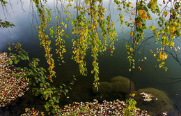 Autumn / ***