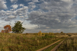 Autumn day / ***