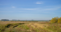 Open spaces / ***